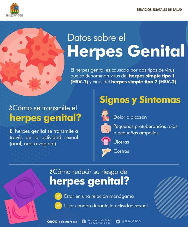 Qu Es El Herpes Genital Xanthus