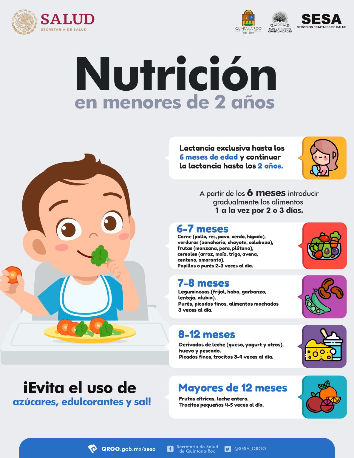 Nutrición En Menores De 2 Años Micrositio Sesa