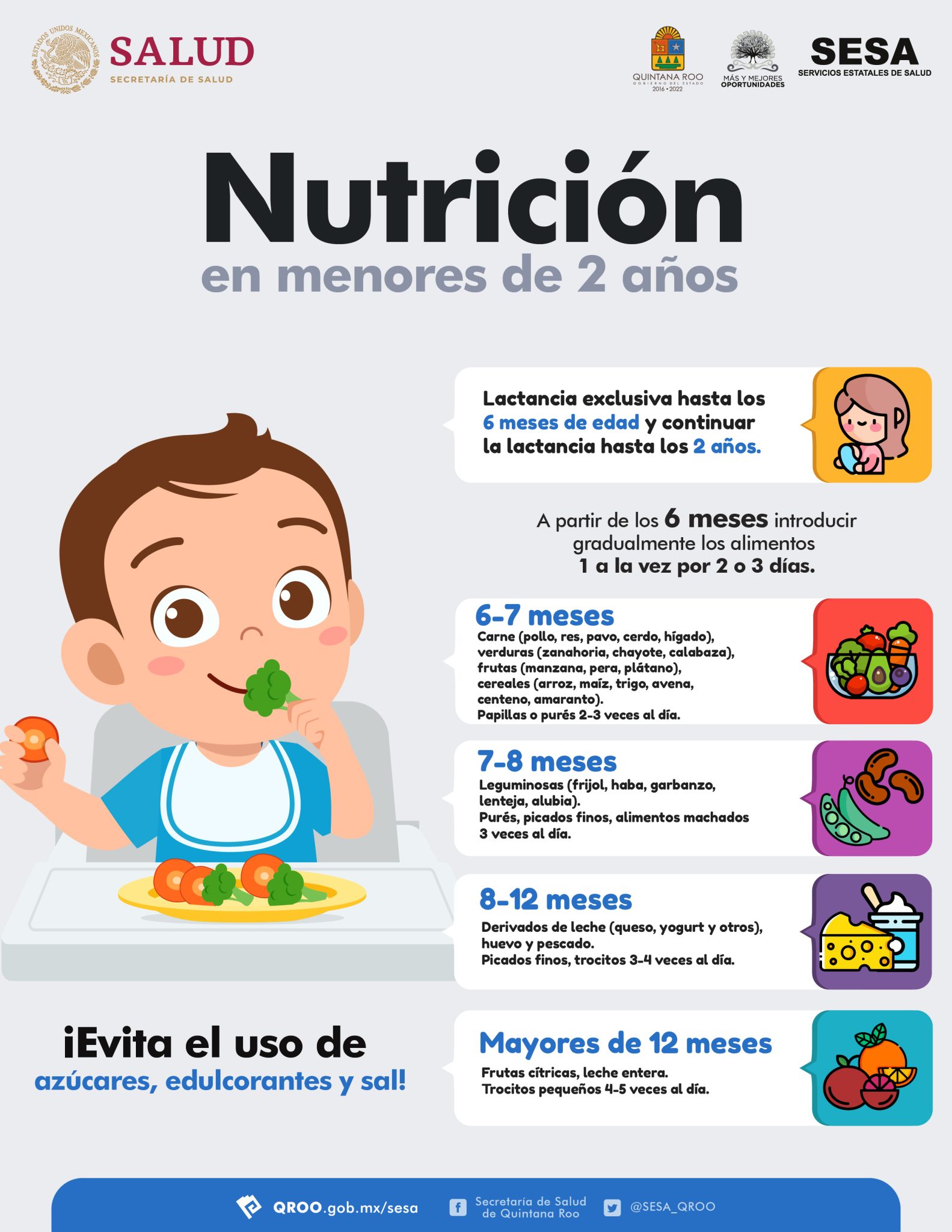 Nutrición En Menores De 2 Años Micrositio Sesa 1834