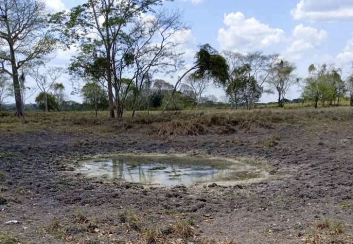 Conagua advierte sequía anormal en el norte de Quintana Roo